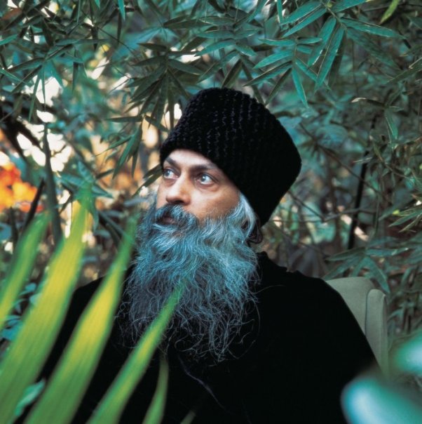 Osho on Hasidism