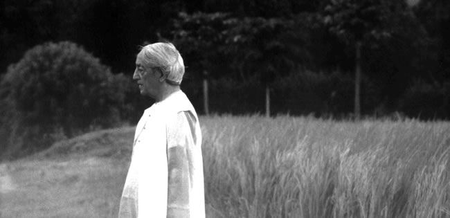 Jiddu Krishnamurti Quotes on Meditation 